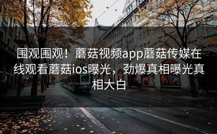 围观围观！蘑菇视频app蘑菇传媒在线观看蘑菇ios曝光，劲爆真相曝光真相大白