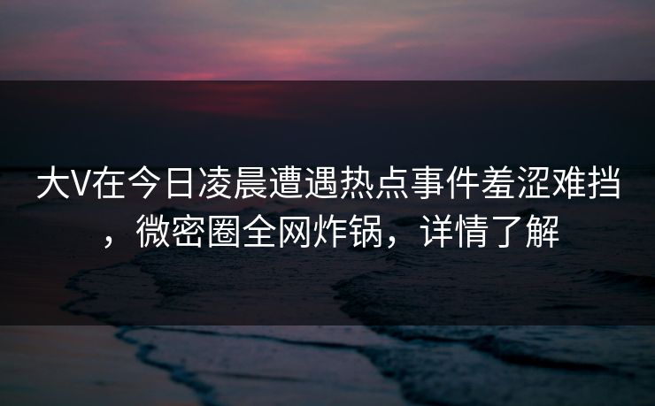 大V在今日凌晨遭遇热点事件羞涩难挡，微密圈全网炸锅，详情了解